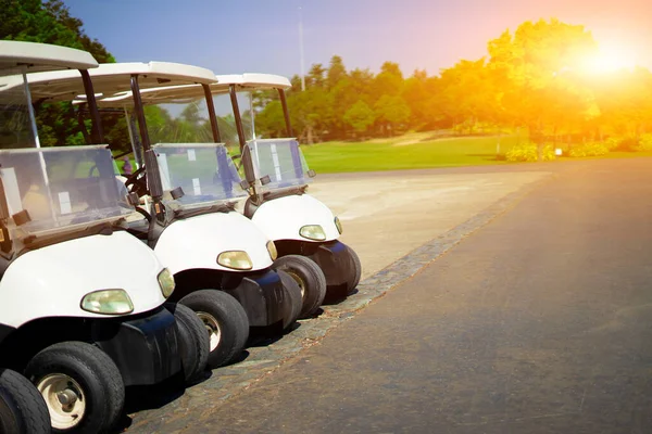 Golf arabaları sabahları golf sahasında diziliyorlar.