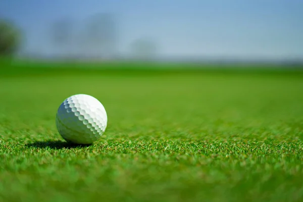 Golf sporu sosyal seçkinlerin açık hava sahalarında oynandı.
