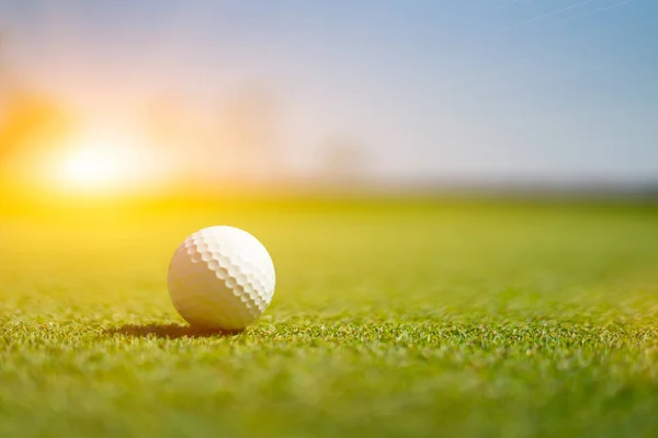 Golf Deporte Jugado Las Canchas Aire Libre Élite Social — Foto de Stock