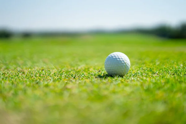 Golf Sport Joué Sur Les Courts Extérieurs Élite Sociale — Photo