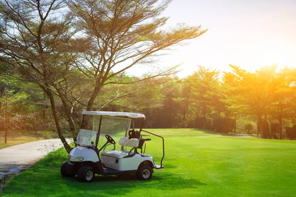 Golf arabaları sabahları golf sahasında diziliyorlar.