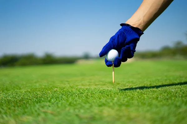 Golf Sporu Sosyal Seçkinlerin Açık Hava Sahalarında Oynandı — Stok fotoğraf