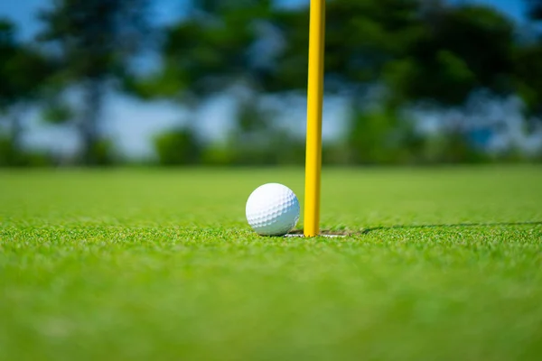 Golf Olahraga Dimainkan Lapangan Terbuka Dari Elit Sosial — Stok Foto