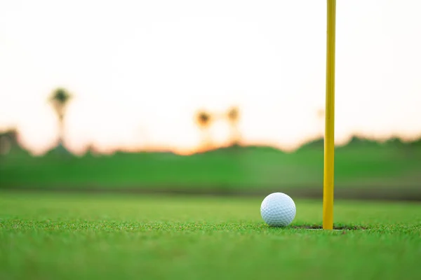 Golf Sporu Sosyal Seçkinlerin Açık Hava Sahalarında Oynandı — Stok fotoğraf