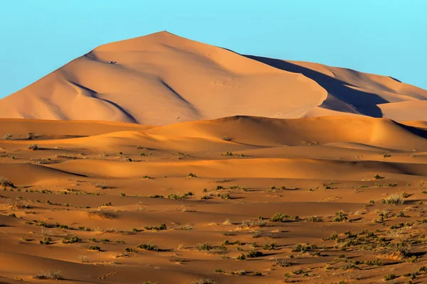 Sand Dunes Desert Saudi Arabia — Stock Photo, Image