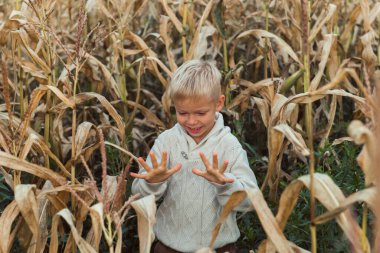 Mısır tarlasındaki çocuk kuru yapraklar 