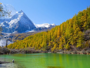 Pearl Lake veya Zhuoma La Lake ve sonbaharda kar dağı Yading Doğa Koruma Alanı, Sichuan, Çin 'de. Güzel doğa manzarası.