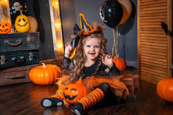 Glad Halloween Söt Liten Häxa Med Pumpa Bakgrunden Festlig Dekoration — Stockfoto