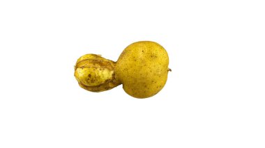 Beyaz arka planda izole edilmiş olgun ve komik bir patates.