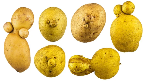 Beyaz arka planda izole edilmiş yüz ifadesi olan olgun, komik patates.