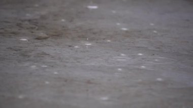 Yağmur damlaları gri bir betonun üzerindeki su birikintisine düşüyor.