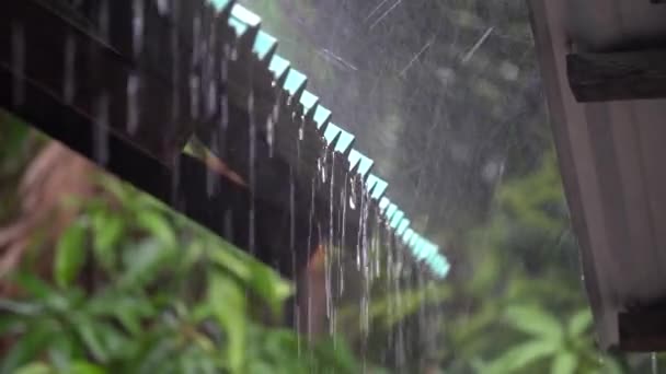 Chuva Telhado Tailândia Estação Chuvosa — Vídeo de Stock