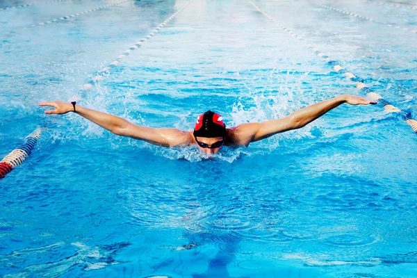 Nadador Masculino Profesional Nadando Piscina —  Fotos de Stock