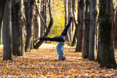 Sonbahar parkında yoga yapan sporcu adam. 