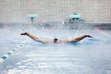 profesyonel erkek yüzücü havuzda