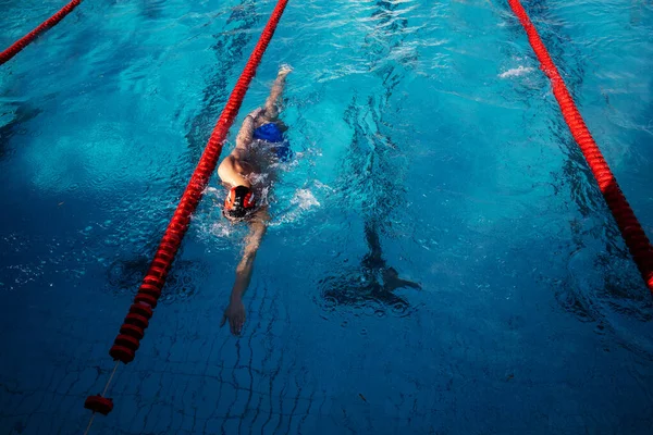 Nadador Masculino Profesional Nadando Piscina Fotos de stock