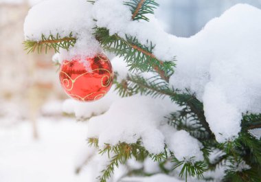 1 noel kırmızı topu dışarıda karda ladin dalında.