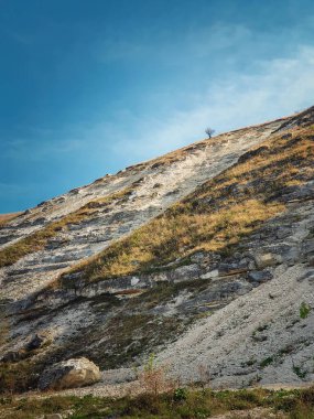 Moldova 'nın Trebujeni köyü yakınlarındaki eski Orheiul Vechi Orhei kompleksi' ndeki karst kireçtaşı tepelerinin tepesinde çıplak ve yalnız bir ağaca bakan İdyllic kırsal manzara. Sonbahar mevsimi doğal manzara manzarası