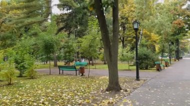 Boş şehir parkında yağmurlu bir sonbahar sabahı. Güzel manzara ve sessizlik, Moldova 'nın başkenti Chisinau' daki Büyük Meydan III. Stephen 'ın yere ve izlerine renkli yapraklar düştü..