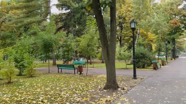 Boş Şehir Parkında Yağmurlu Bir Sonbahar Sabahı Güzel Manzara Sessizlik — Stok video