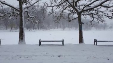 Parkta soğuk, karlı bir kış sabahı gökyüzünden birden fazla kar taneleri düşüyor. Güzel manzara, soğuk mevsim, meydanda kar yağışı havası. Sessiz ve huzurlu bir manzara, soğuk bir gün.