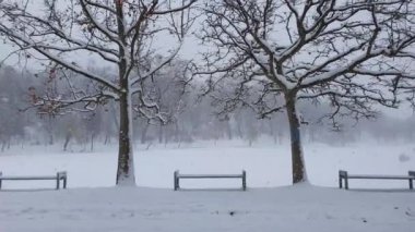 Parkta soğuk, karlı bir kış sabahı gökyüzünden birden fazla kar taneleri düşüyor. Güzel manzara, soğuk mevsim, meydanda kar yağışı havası. Sessiz ve huzurlu bir manzara, soğuk bir gün.