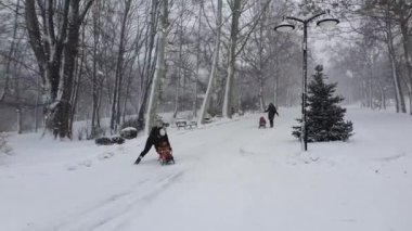Kış parkında bir anne ve çocuğun kızak sürüşünün keyfini çıkardığı güzel bir manzara. Yumuşak kar tanelerinin gökten düştüğü huzurlu ve huzurlu bir manzara. Soğuk sabah, mevsimlik açık havada kayak eğlencesi