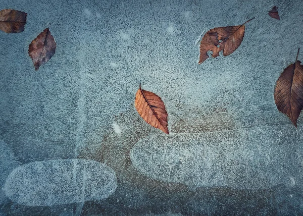 흙탕물에 떨어진 잎사귀들이 추상적 배경을 닫는다 계절의 차가운 — 스톡 사진