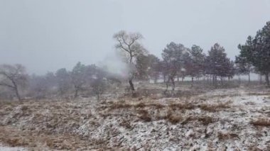 Doğada kar fırtınası, kurak çayırları ve ufuktaki yapraksız ormanları kaplıyor. Soğuk mevsimsel kar fırtınası