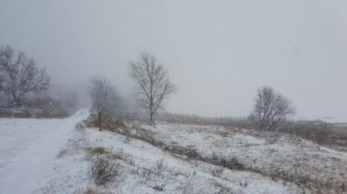 Kuru çayırları ve donmuş göl suyunu kaplayan kar fırtınası. Yapraksız ağaçlar ve göletin yanında kuru sazlıklar. Soğuk mevsimlik kar fırtınası, uyuşuk doğa