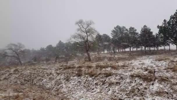 Wintersneeuwstorm Natuur Die Droge Weiden Bladloze Bossen Aan Horizon Bedekt — Stockvideo