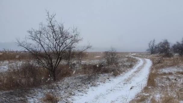 Hideg Téli Időjárás Bolyhos Hópelyhek Esik Egy Vidéki Úton Között — Stock videók