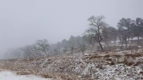 Tempesta Neve Invernale Che Copre Prati Secchi Lago Ghiacciato Boschi — Video Stock
