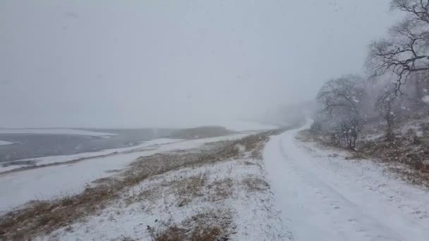 Venkovská Cesta Mezi Zamrzlým Jezerem Bezlistým Lesem Otupělá Zimní Příroda — Stock video