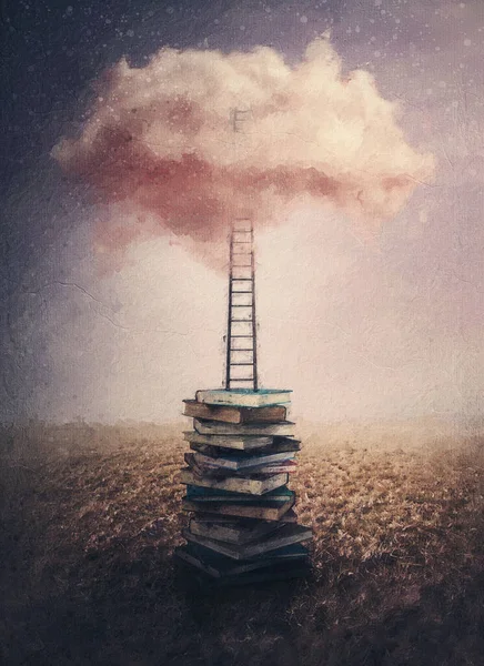一幅美丽的画 描绘了知识的梦幻般的国度 通向智慧的道路 想象力的世界 教育观念 一堆书和梯子通向天空中一片粉色的云彩 — 图库照片