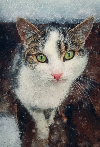 Cat Portrait Painting Close Kitten Outdoor Sheltering Snow Beautiful Kitty — Stock Photo, Image