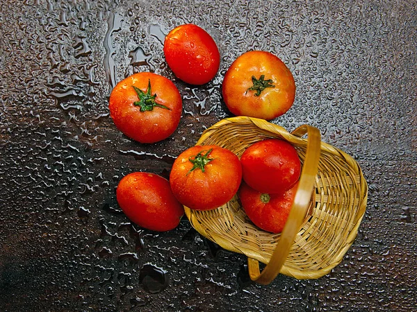 Tomatoes in a wicker basket and scattered on a dark wooden surface, with water drops, close-up, top view