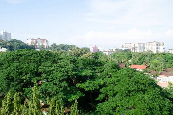 Mangalore Miasto Całą Zielenią — Zdjęcie stockowe