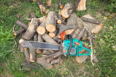 Kesilmiş odunların üzerindeki testere ormana gidiyor. Ağaç kesimi