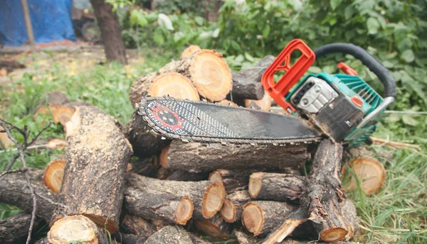 Motorsåg Sågade Stockar Skogen Trädklippning — Stockfoto