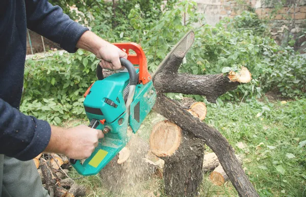 チェーンソーで木を切る男 — ストック写真