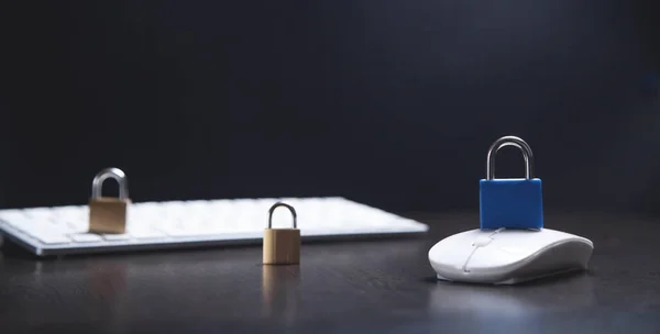 コンピュータのマウスとキーボードの南京錠 — ストック写真