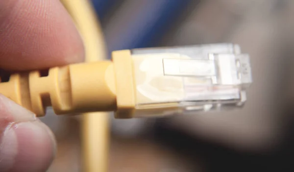 Αρσενικό Χέρι Δείχνει Σύνδεση Δικτύου Ethernet Καλώδιο Κλείσιμο — Φωτογραφία Αρχείου