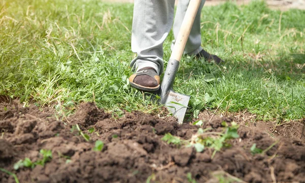 Agricultor Escava Solo Com Jardim — Fotografia de Stock