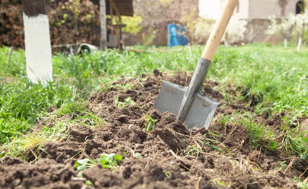 Pala Nel Terreno Giardino — Foto Stock