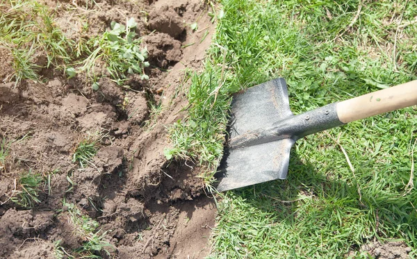 Shovel in soil in the garden.