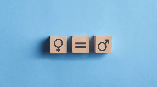 Männliche Und Weibliche Symbole Auf Holzwürfeln Konzept Der Gleichstellung Der — Stockfoto