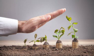 Bitkili erkek el para yığını.