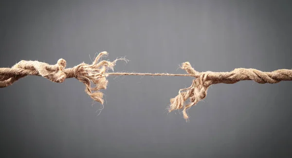 Frayed rope about to break on grey background. Risk