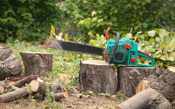 Sierra Cadena Troncos Cortados Bosque Corte Árboles — Foto de Stock